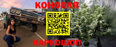 стафф Будённовск