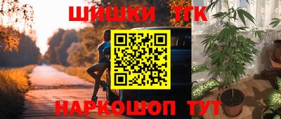 шишки Северобайкальск