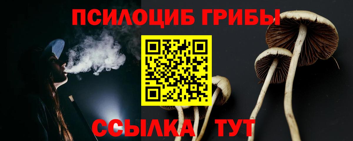 Галлюциногенные грибы мухоморы Россошь